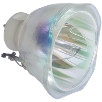 Lampa ACER ACER EC.J0501.001 - kompatibilní lampa bez modulu