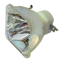 ACTO LX228 Lampa bez modulu