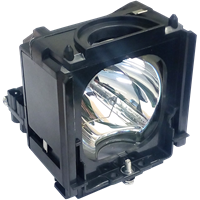 SAMSUNG SP-M205 Lampa s modulem