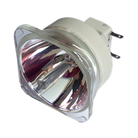 Lampa pro projektor SANYO PLC-WU3001, kompatibilní lampa bez modulu