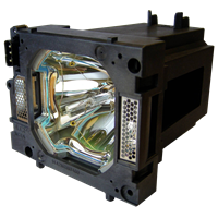 SANYO PLC-XP100 Lampa s modulem
